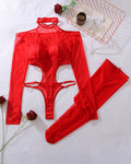 Exotic Sheer Bodysuit Set+Stockings