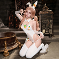 Bunny Fun Stockings Carrot Sexy Lingerie Set
