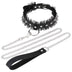 Collar + leash